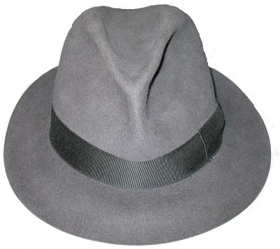 fedora-400x355.jpg